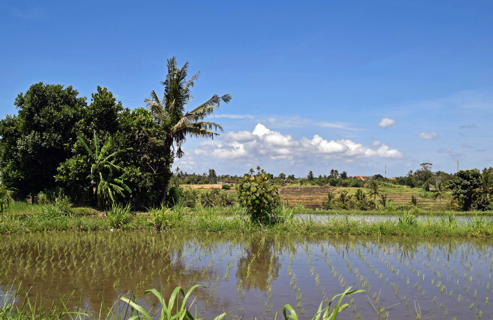 微信截圖_20230420110156 微信截圖_20230420110156