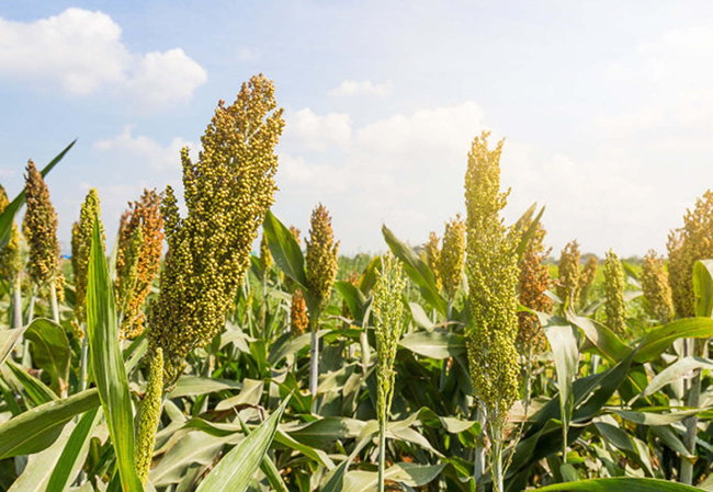 微信圖片_2026-02-26_164750_678 微信圖片_2026-02-26_164750_678